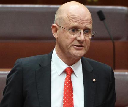 David Leyonhjelm