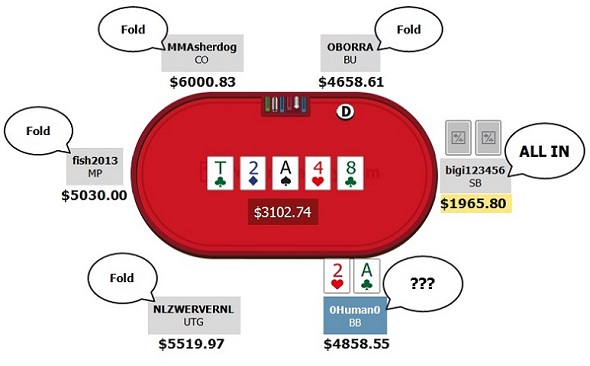 Wie hat der Pro gespielt High Stakes