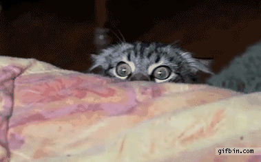 button gif