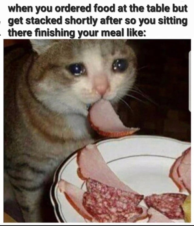 Reddit