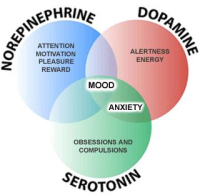 Neuropsychology Chart
