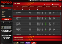 bodog