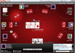bodog