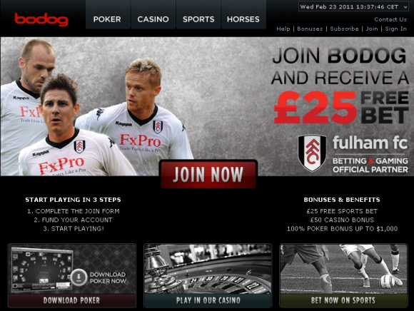 Bodog Poker