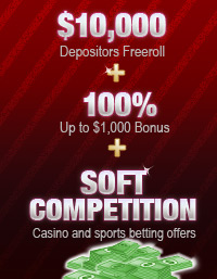 Bodog Poker