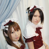 Akiba Guild